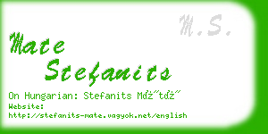 mate stefanits business card